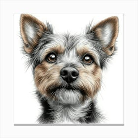 Australian Terrier 1 Canvas Print