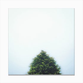 Misty Morning Square Canvas Print