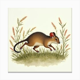 Rat In Grass Canvas Print