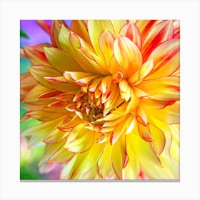 Yellow and Red Dahlia Flower Closeup Canvas Print