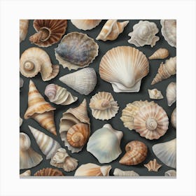 Sea Shells Canvas Print