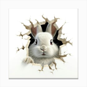 Rabbit Peeking Through A Hole 3 Canvas Print