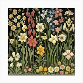 Daffodils In A Garden Art Canvas Print