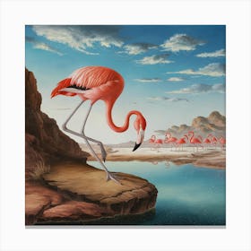 American Flamingo 3 Canvas Print