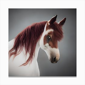 Pretty Pony (1) Canvas Print