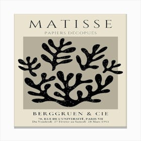 Matisse (13) Canvas Print