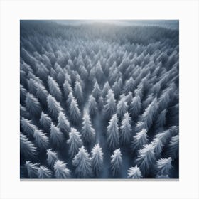 Winter Forest 7 Canvas Print