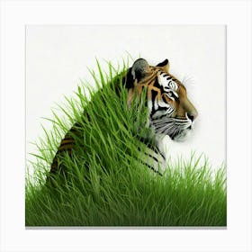 Tiger In Grass 1 Canvas Print