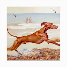 Dog On The Beach Canvas Print