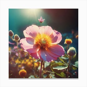 Flower Stock Videos & Royalty-Free Footage 5 Canvas Print