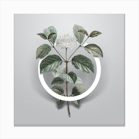 Vintage Common Dogwood Minimalist Flower Geometric Circle on Soft Gray Canvas Print