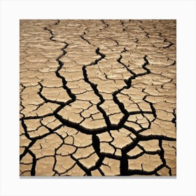 Cracked Dry Land Canvas Print