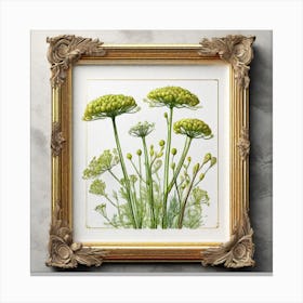 Geraniums Canvas Print