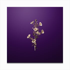 Gold Botanical Glaucous Aster Flower on Royal Purple n.2074 Canvas Print