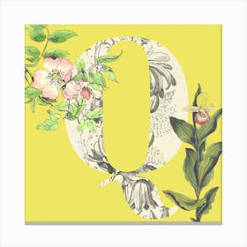 Botanical Q Canvas Print