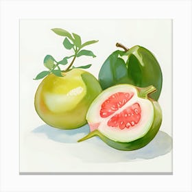 Guava Canvas Print