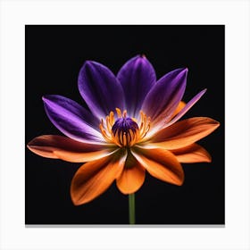 Lotus Flower Canvas Print