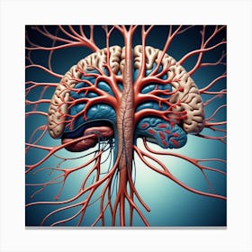 Human Brain With Blood Vessels 8 Canvas Print
