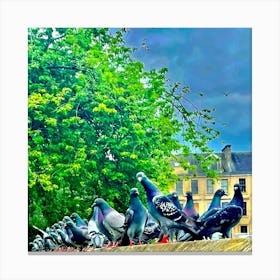 Pigeons On A Wall Canvas Print