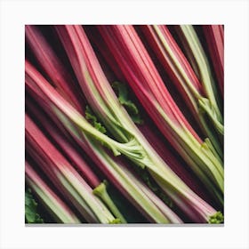 Rhubarb As A Frame Mysterious (2) Canvas Print