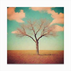 Lone Tree In A Field 2 Canvas Print