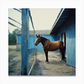 Horse At the blue Barn Canvas Print