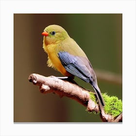 Bird Perched On Branch Canvas Print