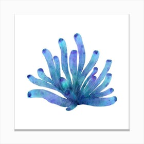 Blue Seaweed 1 Canvas Print