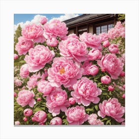 Blooming Full Peonies In The Garden Canvas Print