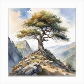 Lone Tree 12 Canvas Print