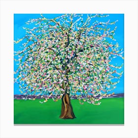 Apple Blossom Square Canvas Print