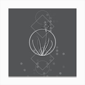 Vintage Arabian Starflower Botanical with Line Motif and Dot Pattern in Ghost Gray n.0338 Canvas Print