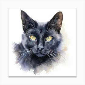 Russian Black Cat Portrait 1 Canvas Print