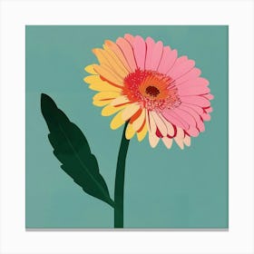 Gerbera Daisy Square Flower Illustration Canvas Print