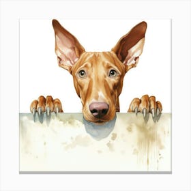 Doberman Pinscher 12 Canvas Print