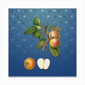Vintage Pupina Apple Botanical on Bahama Blue Pattern n.2364 Canvas Print