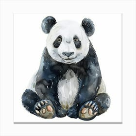 Panda Bear Canvas Print Canvas Print