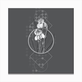 Vintage German Iris Botanical with Line Motif and Dot Pattern in Ghost Gray n.0316 Canvas Print