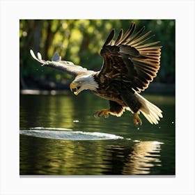 Bald Eagle Canvas Print