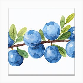 Blueberries On A Branch Canvas Print