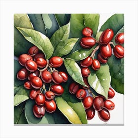 Red Berries Canvas Print