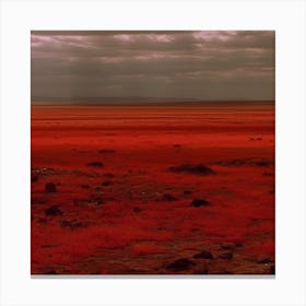 Red Vast Nothingness Canvas Print