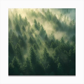 Sunrise In The Forest Canvas Print