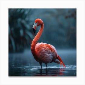 Flamingo In The Rain Canvas Print