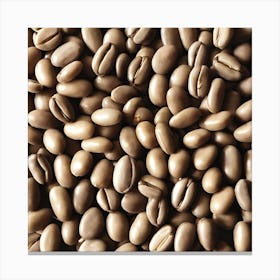 Coffee Beans 235 Canvas Print