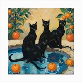 Black Cats In The Pool Canvas Print