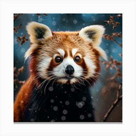 Red Panda Canvas Print