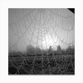 Spider Web In The Mist Canvas Print