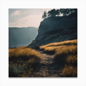 Path In The Grass Canvas Print