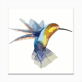 Hummingbird Canvas Print